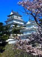 450-2011121119230942543[1].jpgのサムネール画像